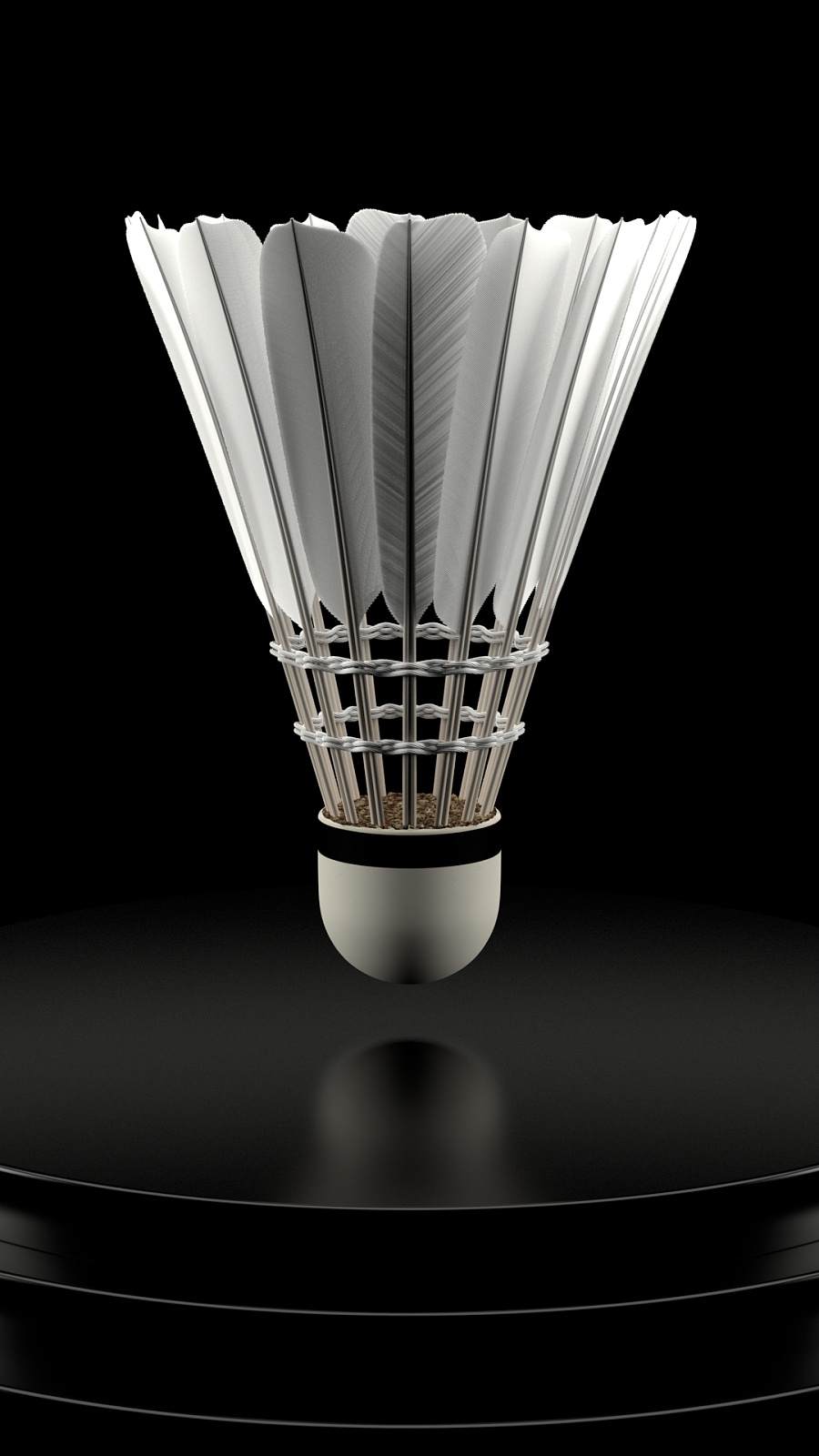 尤其是本土 尤其是本土