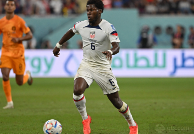 这些元素共 这些元素共