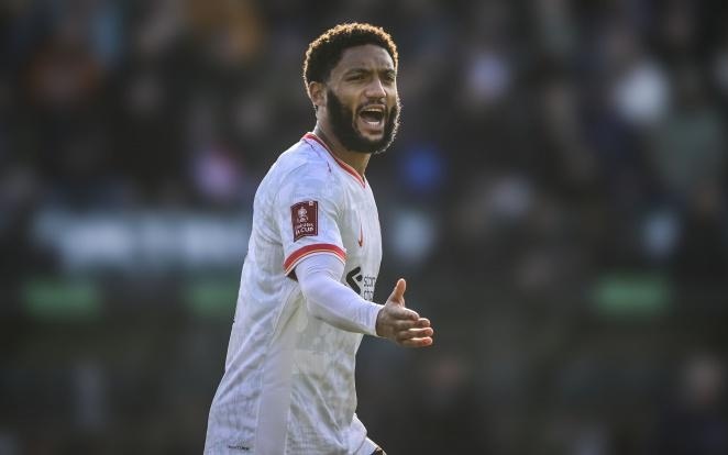 我可以帮你 我可以帮你