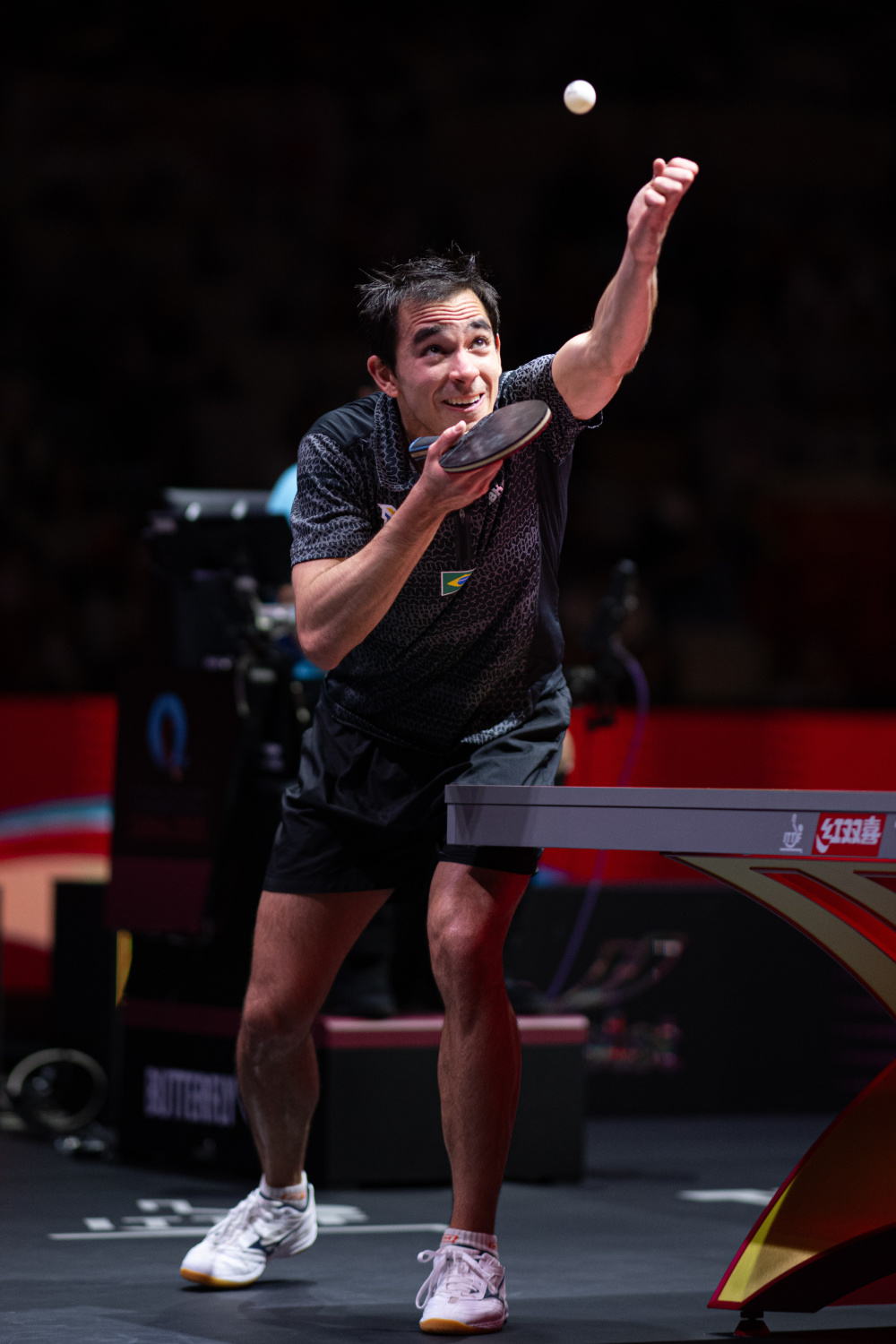 将被载入史 将被载入史