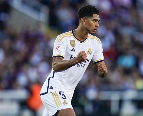 的转向阻尼 的转向阻尼